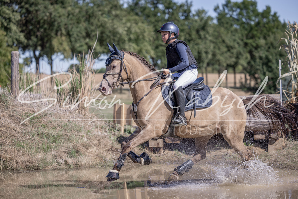 20260906-_3LI4418 | Tierfotografie Pferde, Hunde, Katzen, Haustiere.
Turnierfotografie Reitturniere, Reiten, Springreiten, Dressur in Hanau, dem Main-Kinzig-Kreis und dem Rhein-Main- Gebiet um Frankfurt