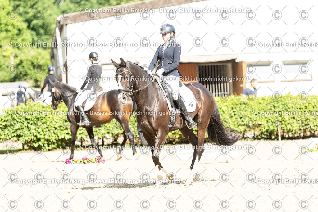 CL5A5998-2 | Emilia Reinking Fotografie - Realisiert mit Pictrs.com