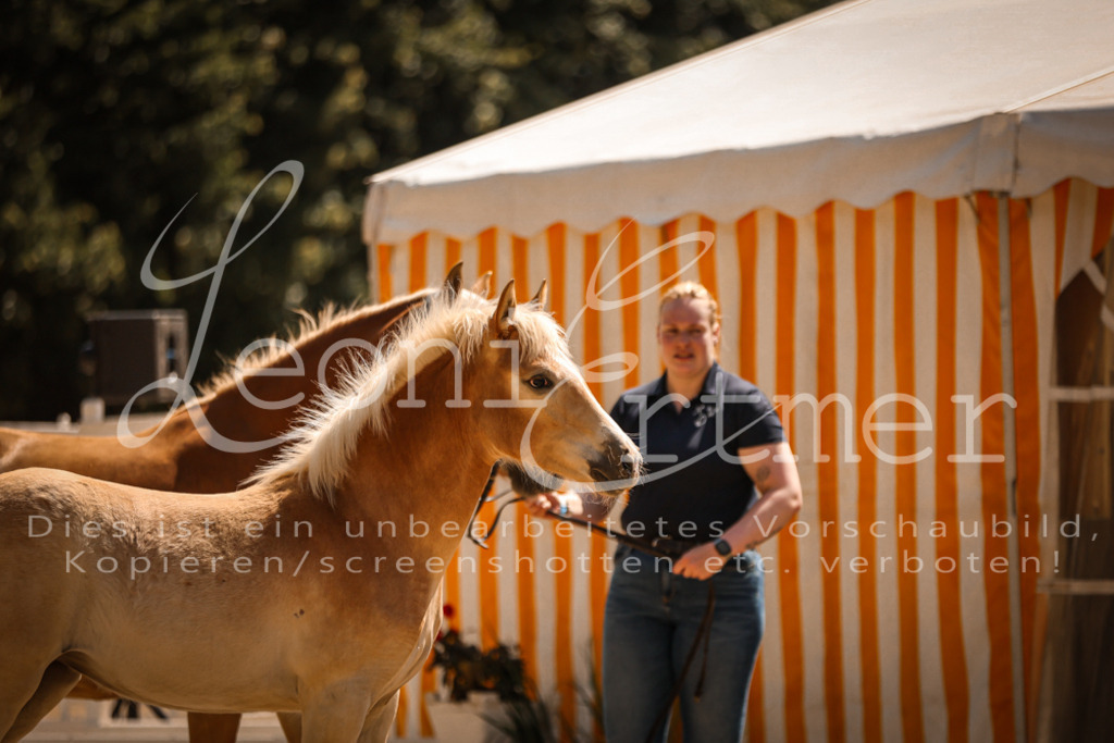 06.DoH00025 | Leoni Ertmer Photography - Realisiert mit Pictrs.com