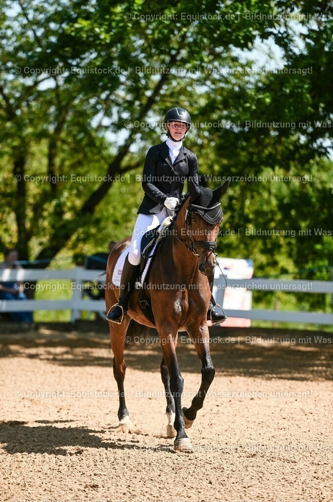 20230715_02_Dressurreiterprüfung Kl.L_0099 | equistock