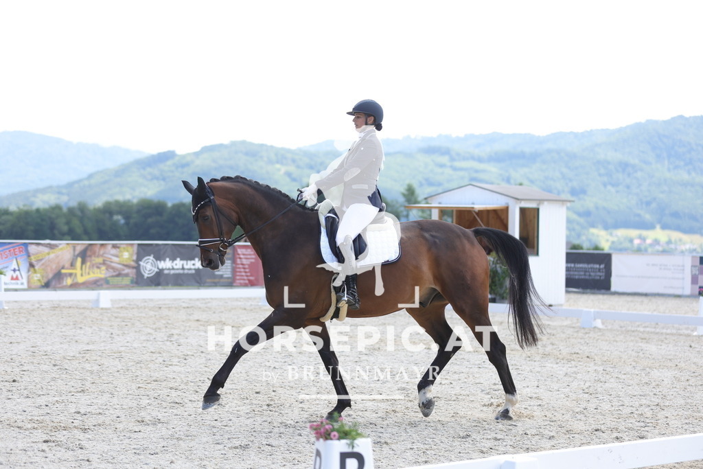 0P6A0733 | Willkommen bei Brunnmayr - Design & Fotografie – Ihrem Spezialisten für Reitturniere und Pferdeveranstaltungen in Oberösterreich, Salzburg und Bayern! Seit über 17 Jahren sind wir leidenschaftlich dabei.