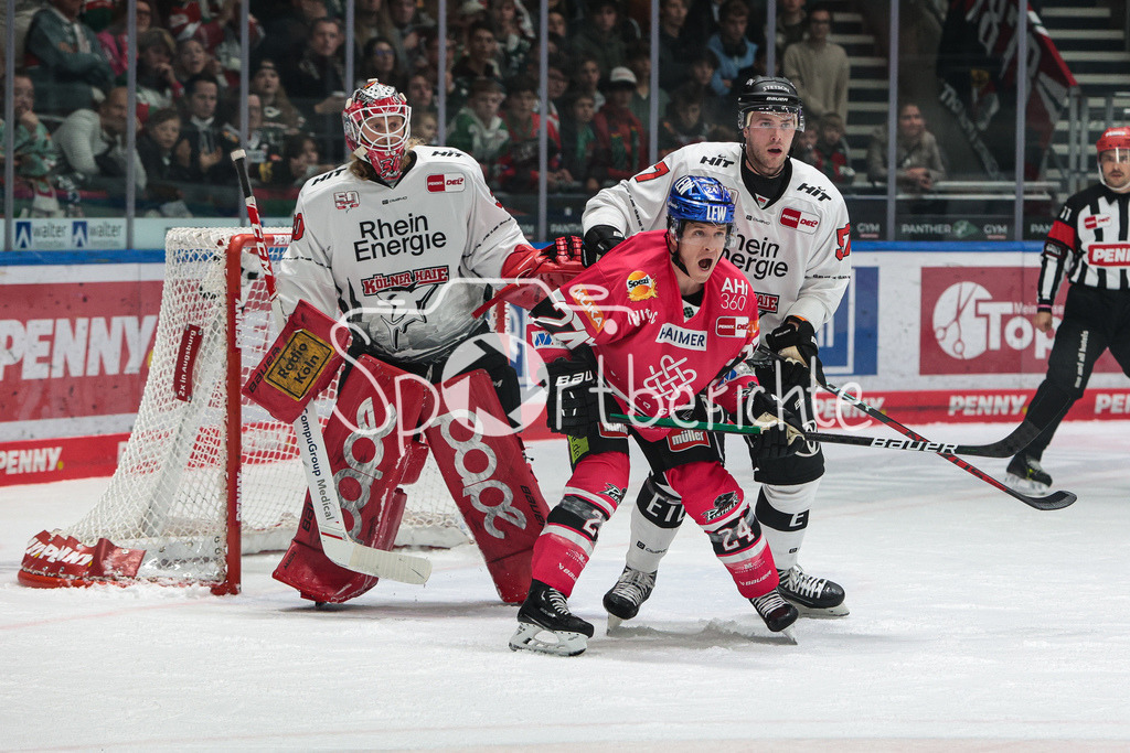 Augsburger Panther - Koelner Haie  | Thomas Jordan TREVELYAN (AEV #24) im Duell mit Brady AUSTIN (KEC #57) vor Mirko PANTKOWSKI (KEC #30)