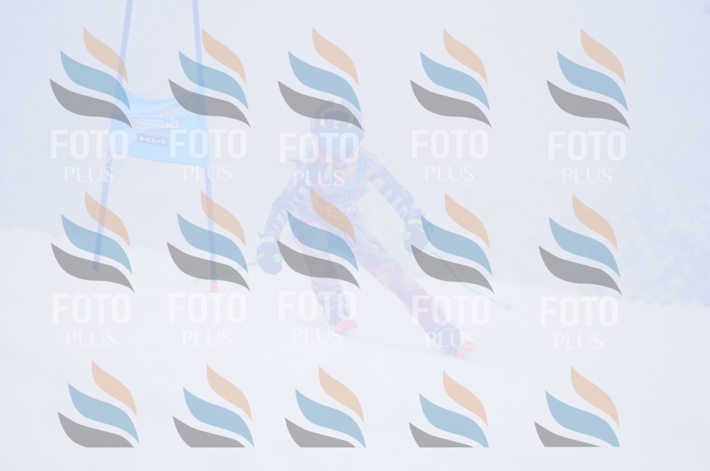 C2469 | holidayphoto