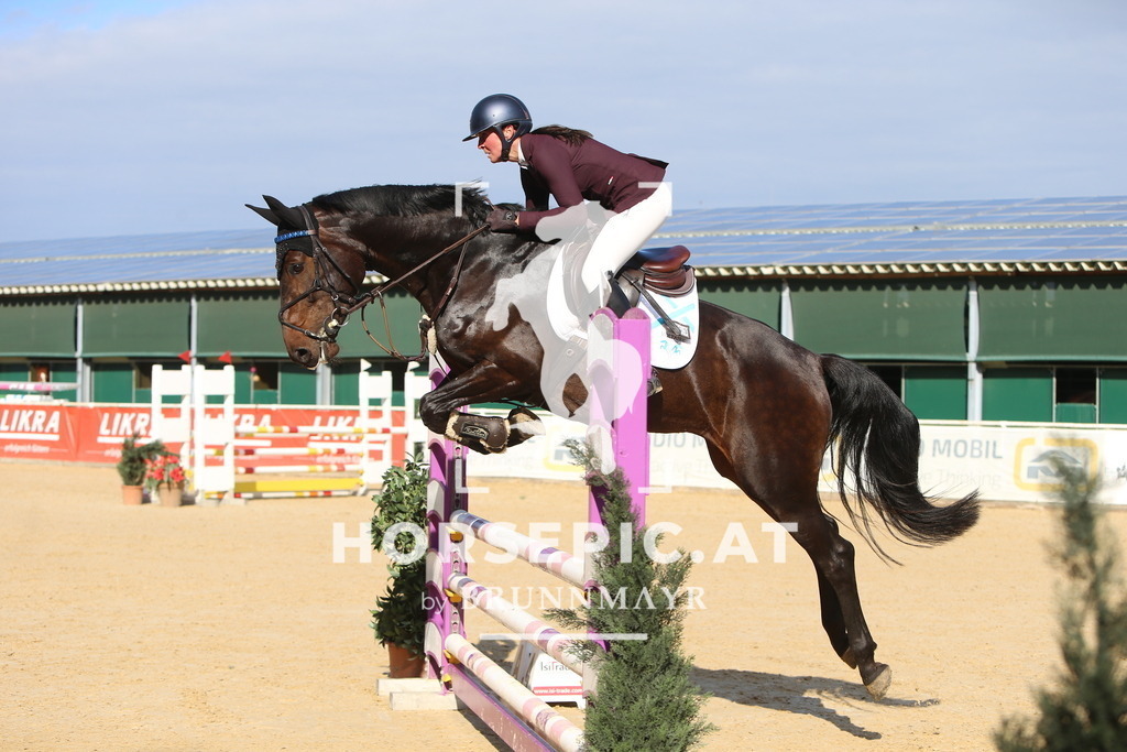 DL2Q4841 | Willkommen bei Brunnmayr - Design & Fotografie – Ihrem Spezialisten für Reitturniere und Pferdeveranstaltungen in Oberösterreich, Salzburg und Bayern! Seit über 17 Jahren sind wir leidenschaftlich dabei.