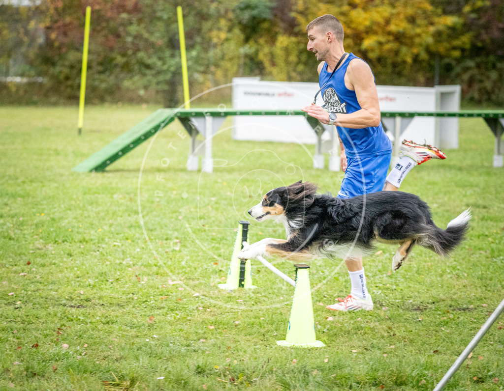 Pfotenfotografie_DV3A0894 | Hundefotografie, Tierfotograf, Pfotenfotografie, Fotoshooting Hund, Hunde Portrait, Hundesport, Hundeportraits, Heideshooting, Hunde, Sportfotograf, Hundefotograf, Turnierhundsport, THS,  - Realisiert mit Pictrs.com