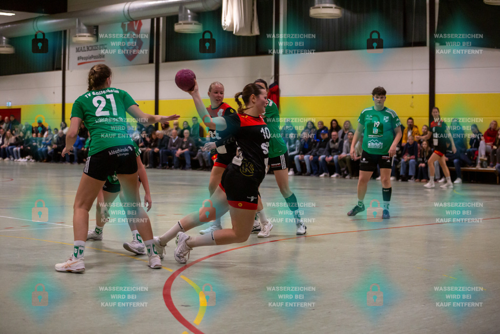 _HP_5054_3000o | TV Welling Damen vs. TV Bassenheim 05.01.2024