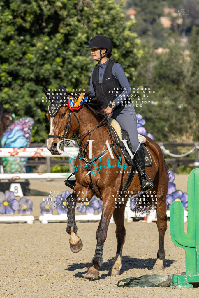 IMG_6970 | s-jay-photography - Realisiert mit Pictrs.com