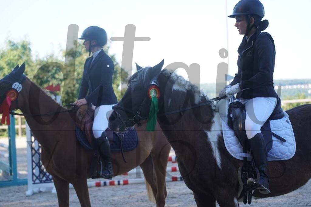 tgbhsonntag (136) | d.tail Visions - Shop - Realisiert mit Pictrs.com