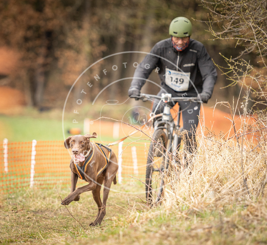 DV3A1180 | Hundefotografie, Tierfotograf, Pfotenfotografie, Fotoshooting Hund, Hunde Portrait, Hundesport, Hundeportraits, Heideshooting, Hunde, Sportfotograf, Hundefotograf, Turnierhundsport, THS,  - Realisiert mit Pictrs.com