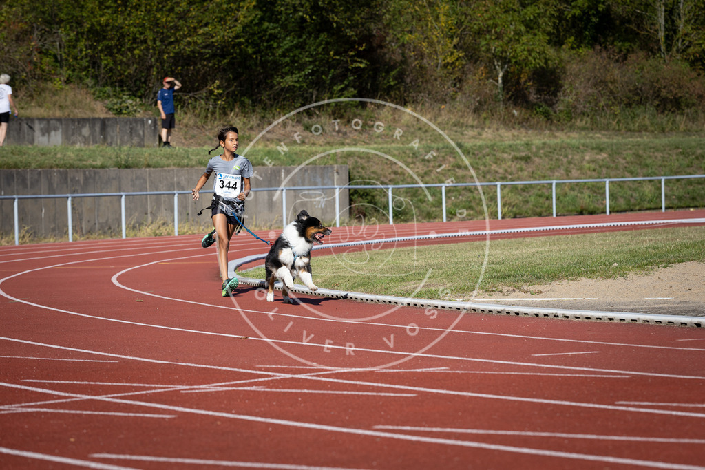 Pfotenfotografie_DV3A8340 | Hundefotografie, Tierfotograf, Pfotenfotografie, Fotoshooting Hund, Hunde Portrait, Hundesport, Hundeportraits, Heideshooting, Hunde, Sportfotograf, Hundefotograf, Turnierhundsport, THS,  - Realisiert mit Pictrs.com