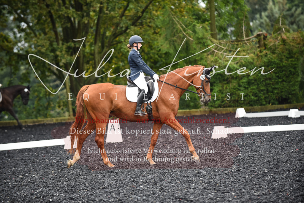 DSC_2762 | Pferde- und Turnierfotografie in Westsachsen. Pferdeportraits, Auftragszeichnungen und intuitive Kunst.