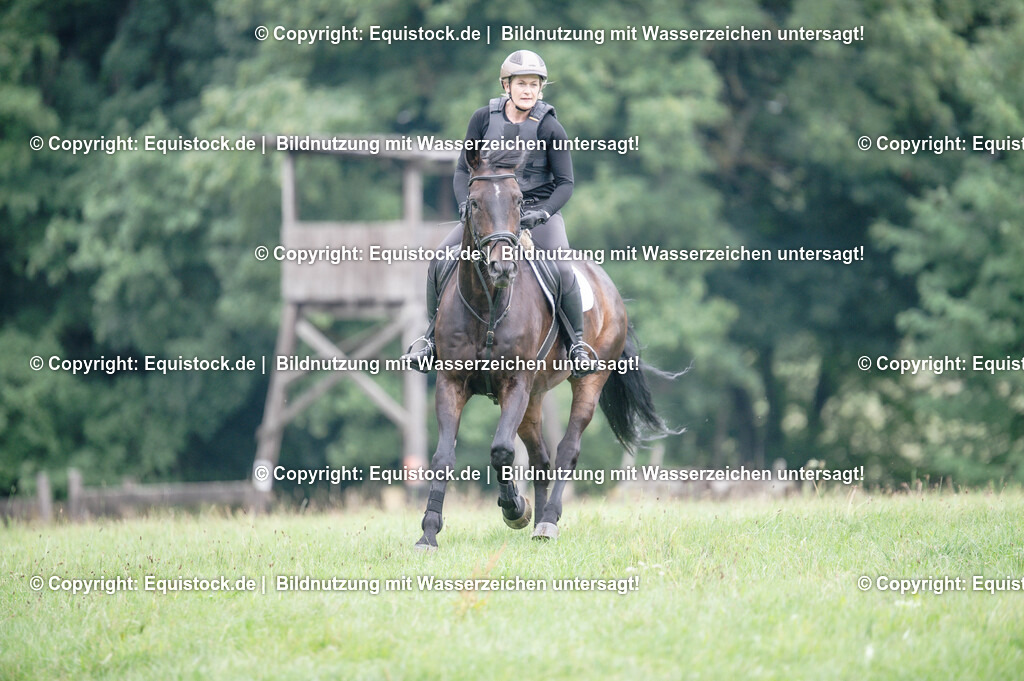 20250726_Vielseitigkeitslehrgang-Marbach_0329 | Foto: Thomas Hartig