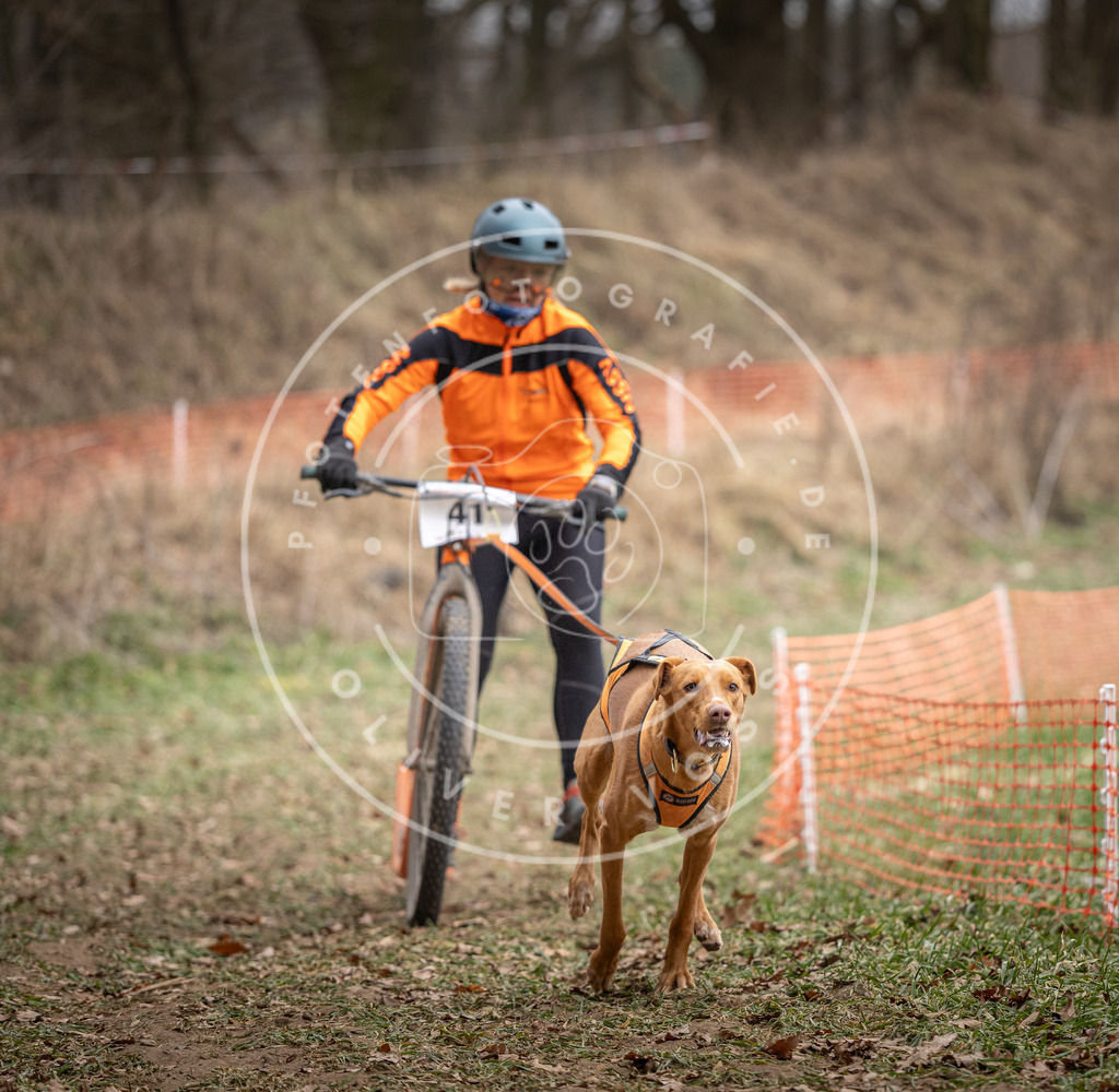 Pfotenfotografie_DV3A6554 | Hundefotografie, Tierfotograf, Pfotenfotografie, Fotoshooting Hund, Hunde Portrait, Hundesport, Hundeportraits, Heideshooting, Hunde, Sportfotograf, Hundefotograf, Turnierhundsport, THS,  - Realisiert mit Pictrs.com
