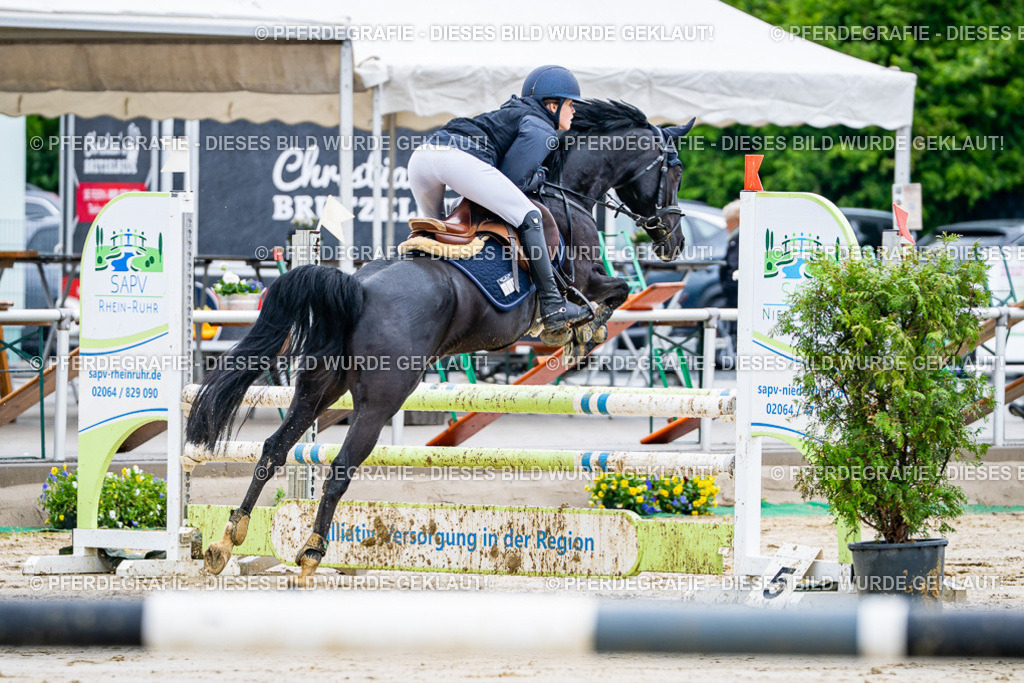 DSC03221 | Pferdegrafie