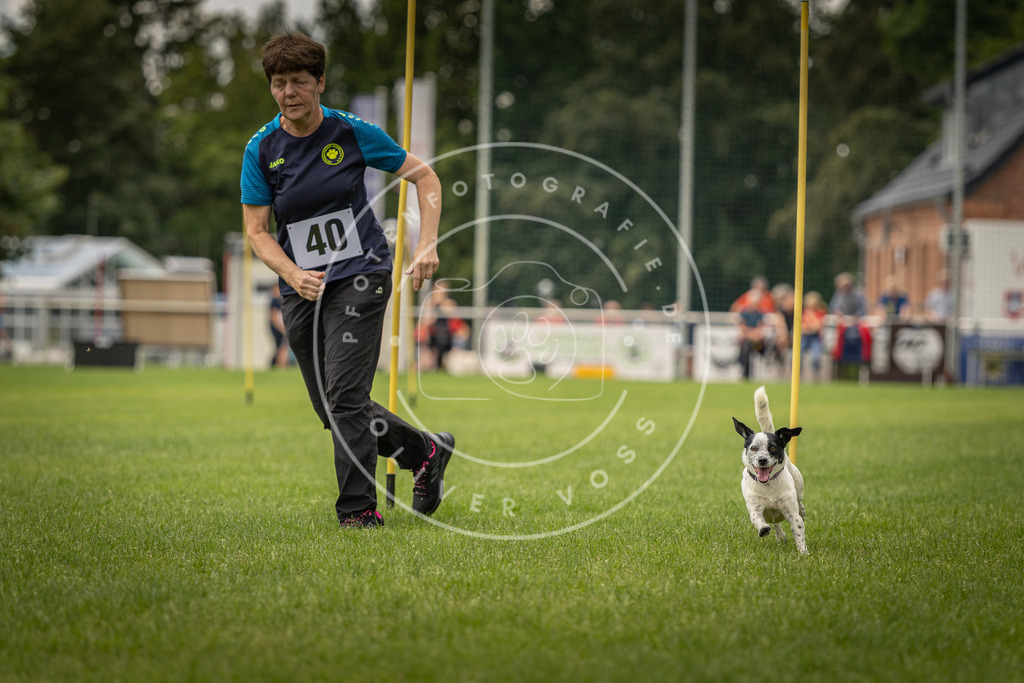 Pfotenfotografie_DV3A2867 | Hundefotografie, Tierfotograf, Pfotenfotografie, Fotoshooting Hund, Hunde Portrait, Hundesport, Hundeportraits, Heideshooting, Hunde, Sportfotograf, Hundefotograf, Turnierhundsport, THS,  - Realisiert mit Pictrs.com
