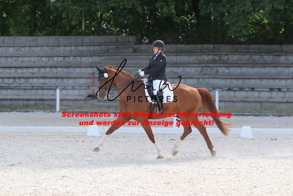 IMG_5627 | lmwpictures - Realisiert mit Pictrs.com