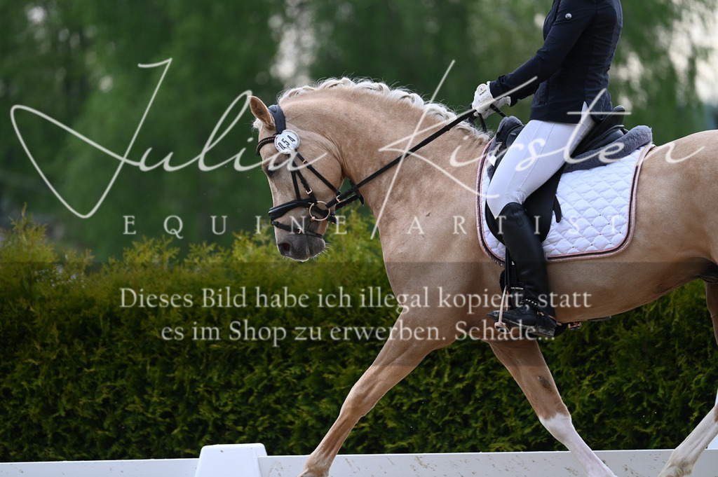 20230512_JK-Röhrsdorf-02-119 | Pferde- und Turnierfotografie in Westsachsen. Pferdeportraits, Auftragszeichnungen und intuitive Kunst.