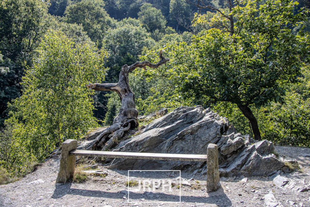 IMG_7994 | jrph - Realisiert mit Pictrs.com