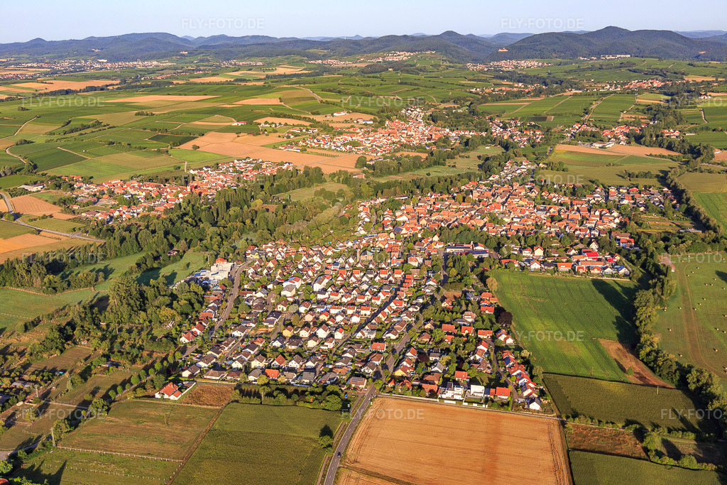 Luftbild: Ortsansicht von Nordosten im Ortsteil Billigheim in Billigheim-Ingenheim im Bundesland Rheinland-Pfalz in Deutschland. Foto: IMG_116654.jpg vom 11.08.2019 durch Werner Riehm/FLY-FOTO.de