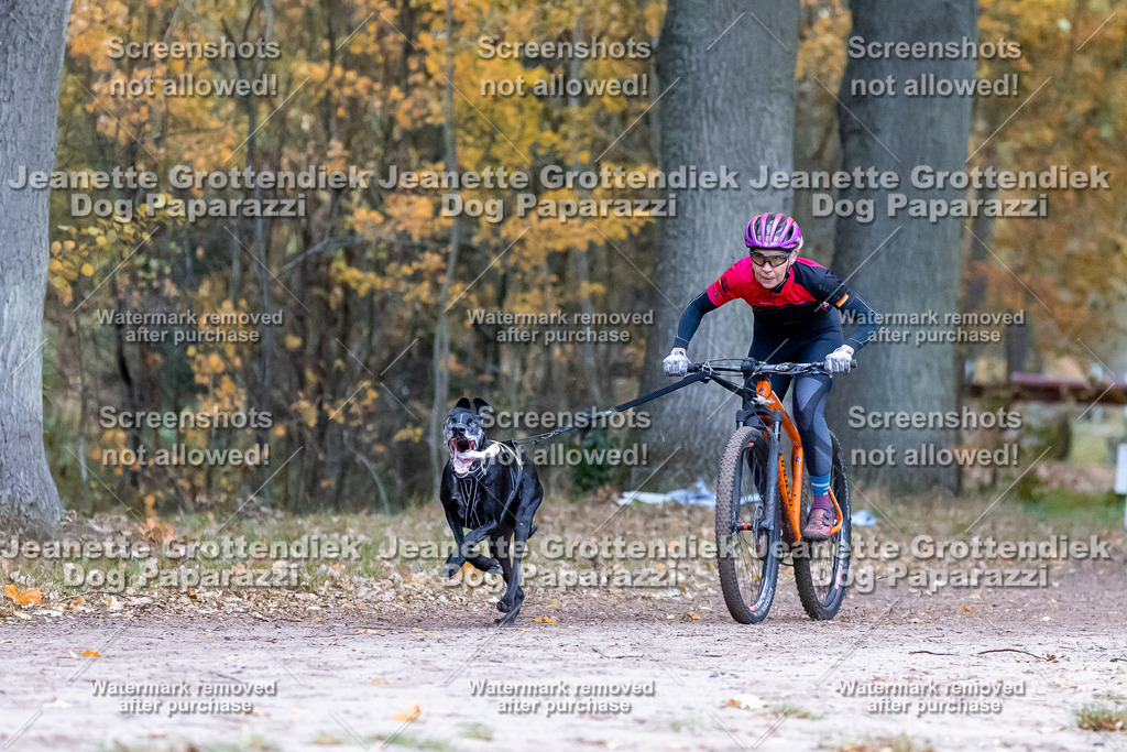 Dog Paparazzi - SD CaniX Championship 2025-79 | Dog Paparazzi Jeanette Grottendiek Fotografie & Videografie - Realisiert mit Pictrs.com