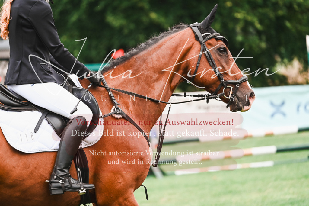 DSC_5915 | Pferde- und Turnierfotografie in Westsachsen. Pferdeportraits, Auftragszeichnungen und intuitive Kunst.
