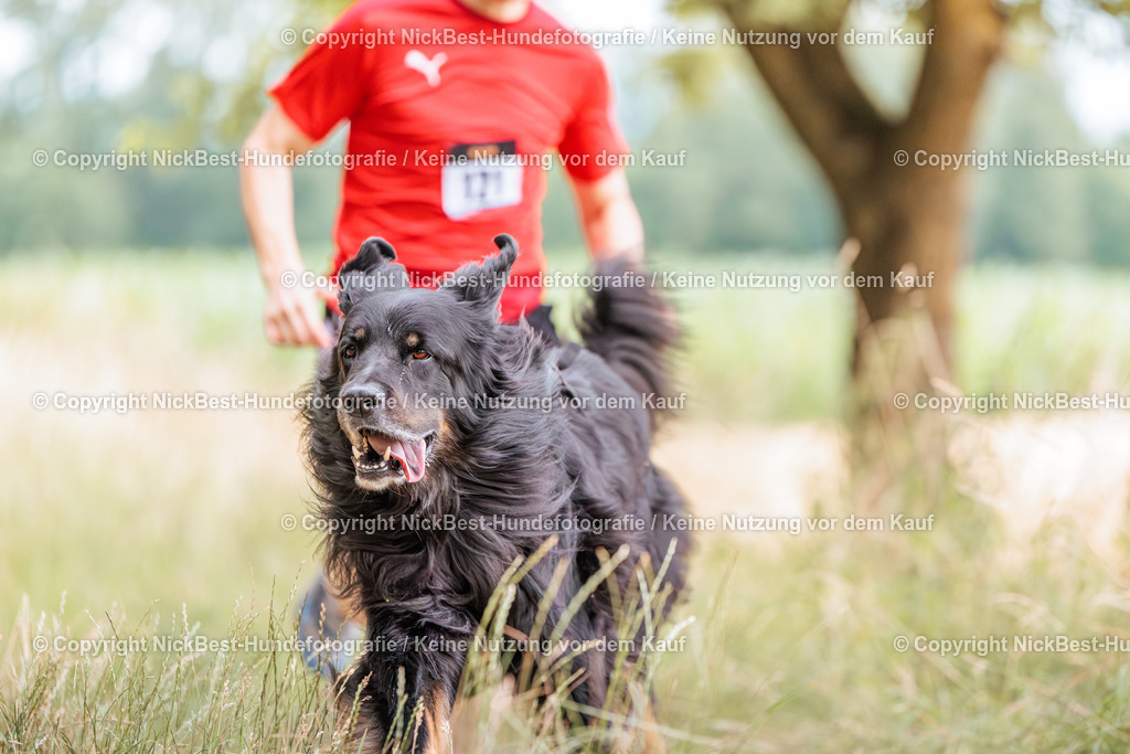 THS-Quakenbrück-2026-Nickbest-Hundefotografie-0092 | Dein Hund! Dein Moment! Deine Erinnerungen! Hundefotografie in Bremen Blumenthal. Ich fange die besonderen Momente deines Vierbeiners ein – ob Indoor mit Blitzanlage oder in der freien Natur. Sicher dir dein Moment und dein Termin für eure Erinnerungen.