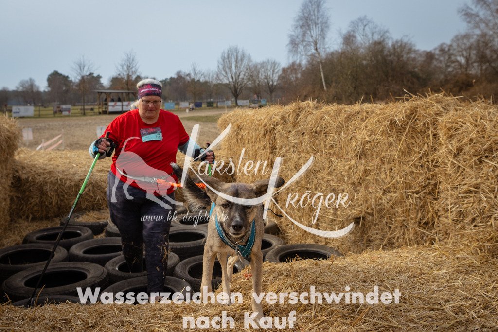 1102_ZZ91808 | kk-dogfotos
