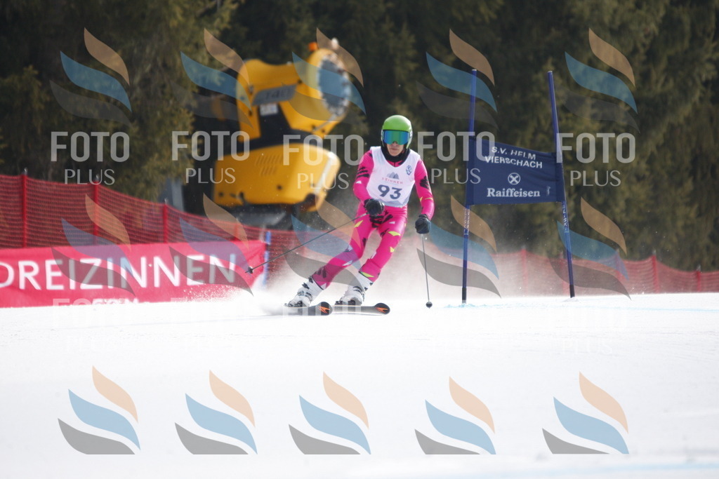 D6190 | holidayphoto