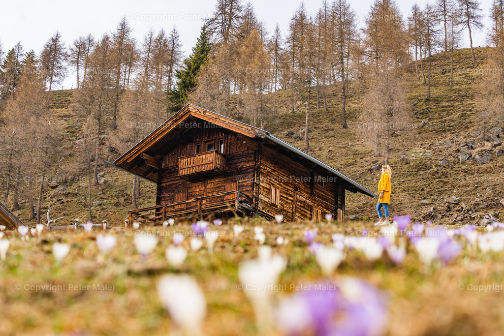 Zettersfeld_Frühling-97 | piet_flosse