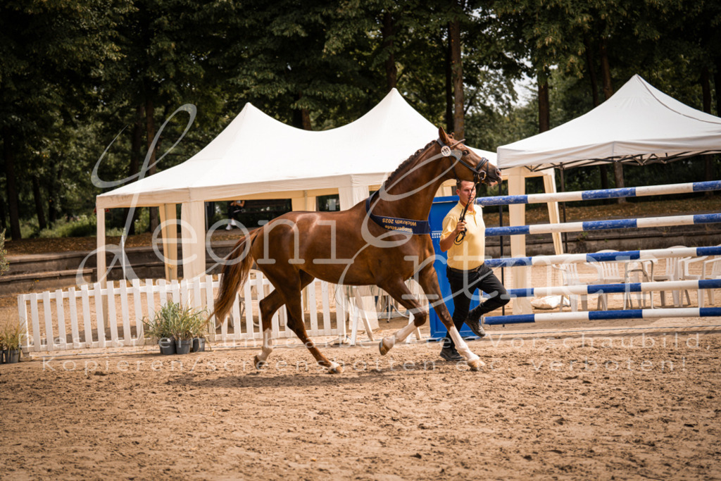 3.Fr00266 | Leoni Ertmer Photography - Realisiert mit Pictrs.com