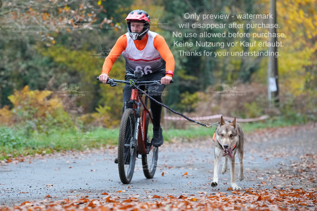 Bike_So-69 | stephaniefillaphotographie - Realisiert mit Pictrs.com