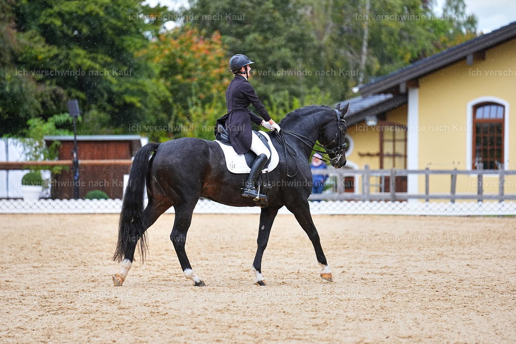 8_1-118-Klasse S_  -Marixx-4239 | working equitationturnier fotograf videograf stoibphotography marixx film working equitation deutschland reitsport turnierfotografie eventfotografie equestrian events