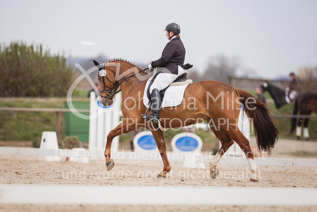 230410_Frühlingsfest_DressurWBA2-326 | Deine schönsten Turniermomente als professionelle Fotos! Entdecke hochwertige Pferdesport-Fotografie im Online-Shop. Jetzt Fotos finden & bestellen!