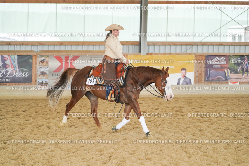 DSC06307 | Pferdegrafie