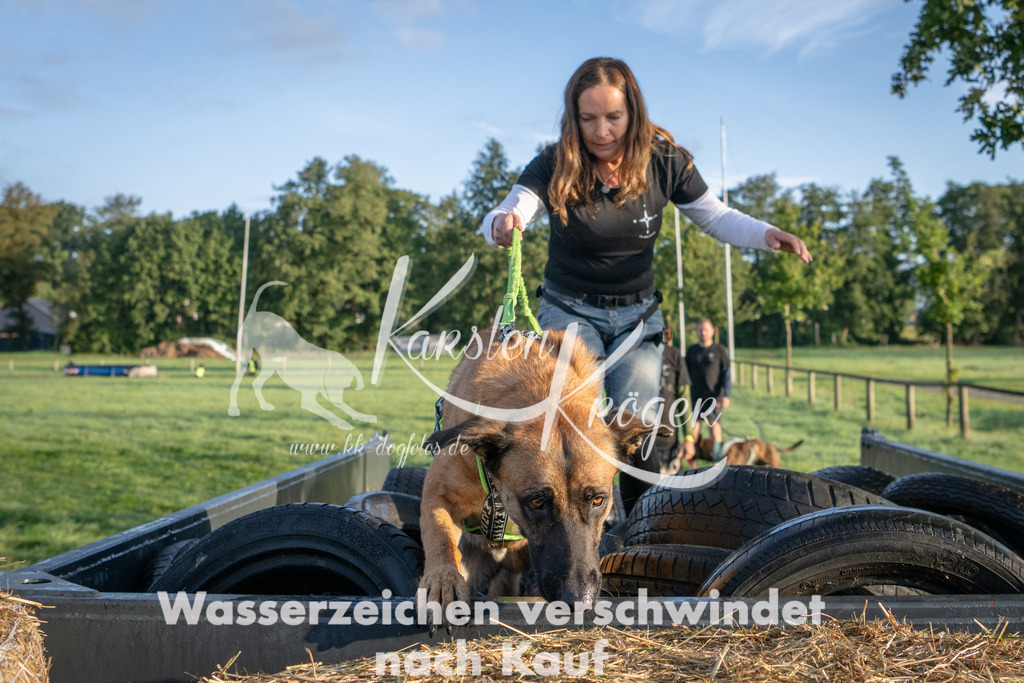 0810_ZZ90518 | kk-dogfotos