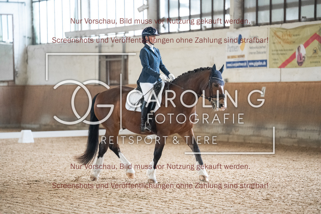 DSC01715 | Reitturnier_Göppingen_April_2026, Jette_Schettler, Victoire_de_Gessenay