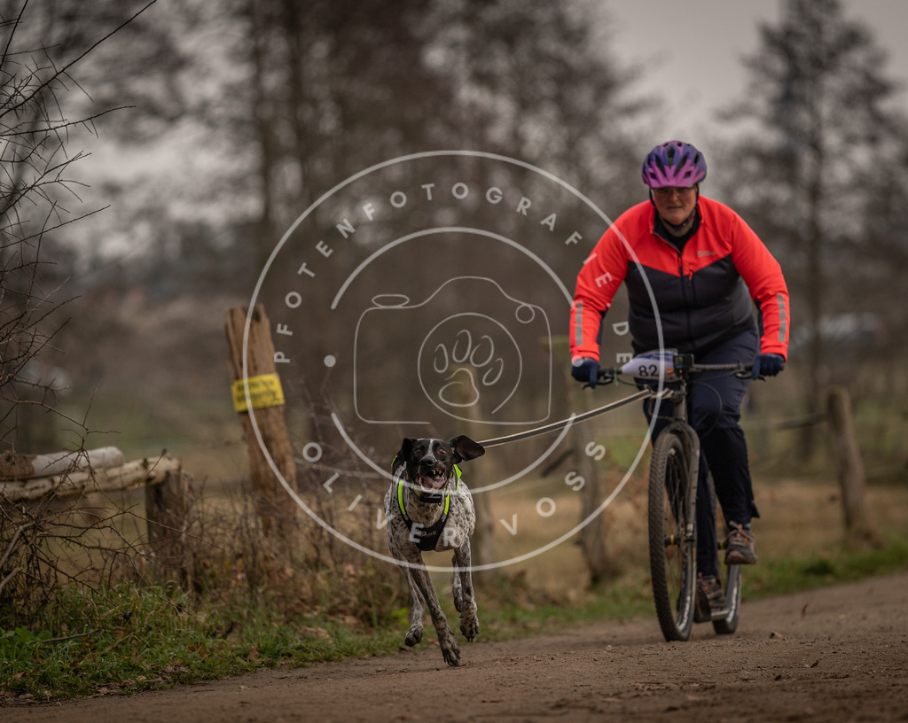 Pfotenfotografie_DV3A3975 | Hundefotografie, Tierfotograf, Pfotenfotografie, Fotoshooting Hund, Hunde Portrait, Hundesport, Hundeportraits, Heideshooting, Hunde, Sportfotograf, Hundefotograf, Turnierhundsport, THS,  - Realisiert mit Pictrs.com