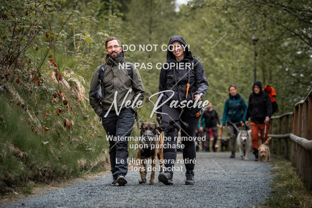 nelerasche_SaAbends_165 | nelerasche