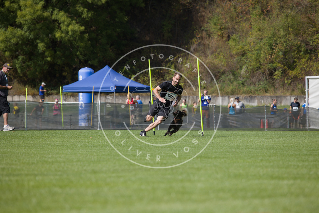 0L8A3060 | Hundefotografie, Tierfotograf, Pfotenfotografie, Fotoshooting Hund, Hunde Portrait, Hundesport, Hundeportraits, Heideshooting, Hunde, Sportfotograf, Hundefotograf, Turnierhundsport, THS,  - Realisiert mit Pictrs.com