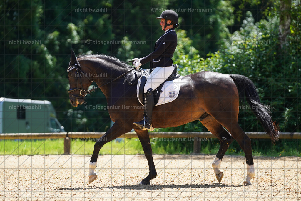 20240705-FAH03894 | Turnierbilder von Grafing, Reitsportbilder, Turnierfotos, Turnierfotografen Bayern, Pferdefotograf, Fotoagentur Herrmann