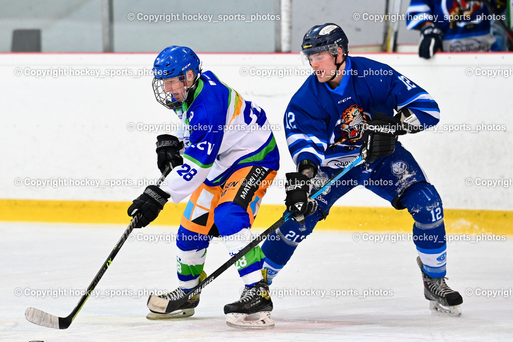  EC Tigers Paternion vs. EC Virgen 8.1.2022 | #28 Bstieler Oliver, #12 Steiner Domenik