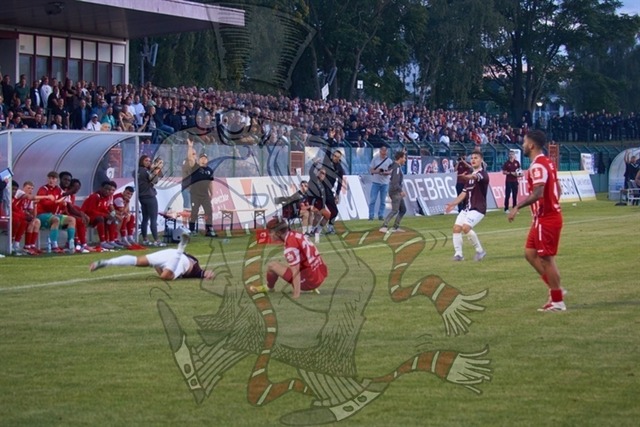 BFC Dynamo vs. FC Rot-Weiß Erfurt 204 | mythos-online-redaktion