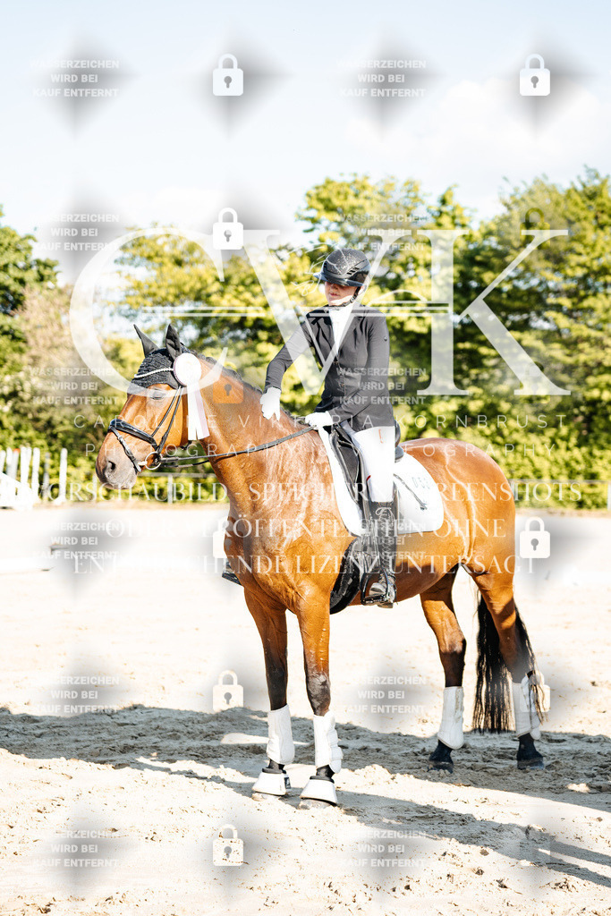 CK703582 | Turnierfotografie Pferdefotografie Trier Rheinland-Pfalz Pferdesport Reitsport Tierfotografie Sportfotografie Pferdevideo Pferdevideografie Equestrianvideography equestrianphotography  - Realisiert mit Pictrs.com