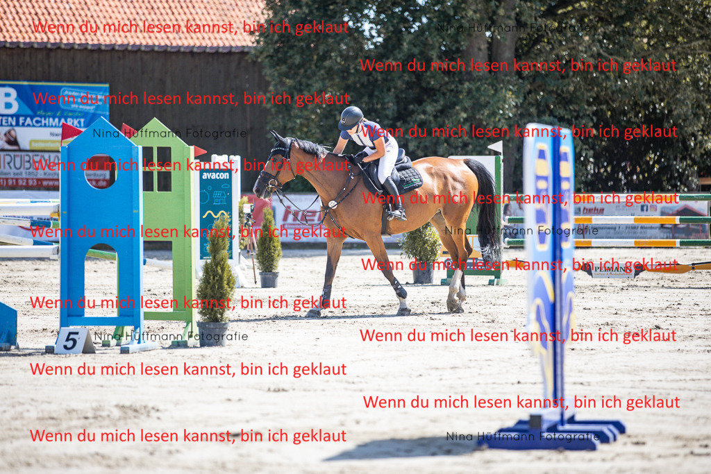 BK1A6595 | Turnierbilder Turnierfotos Nina Hüffmann Turnierfotografie Pferdefotografie Tierzeichnung Haustierzeichnung Pferdezeichnung Hundezeichnung Videograf  - Realisiert mit Pictrs.com