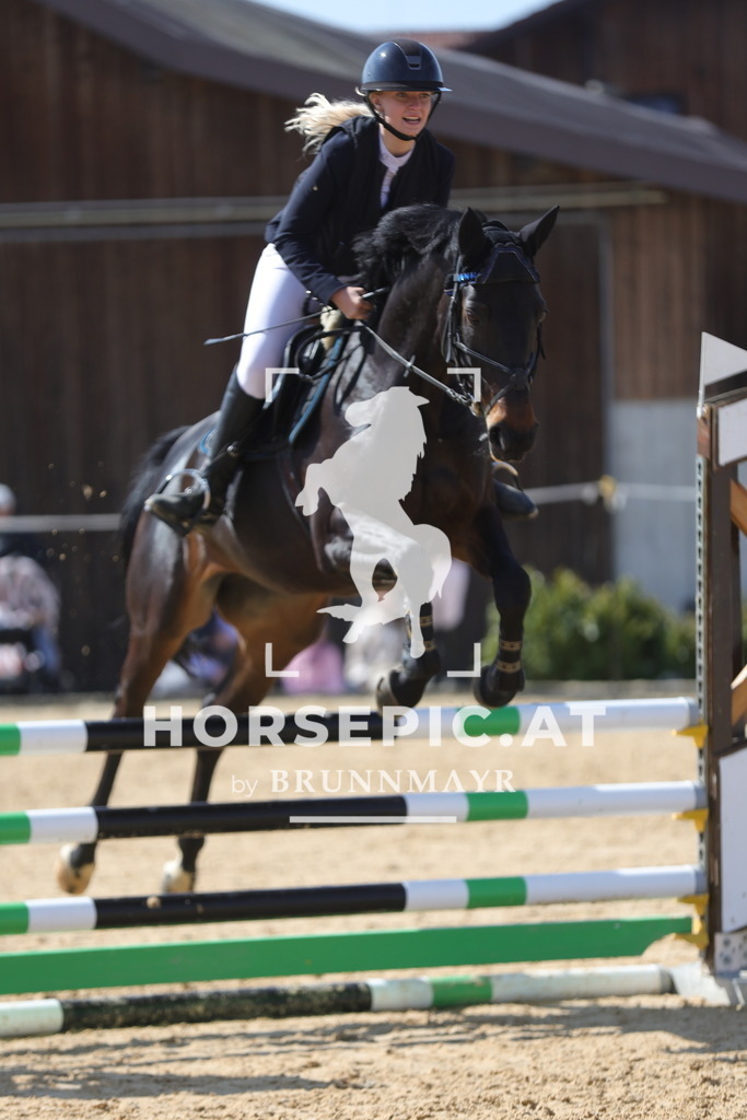 0P6A1338 | Willkommen bei Brunnmayr - Design & Fotografie – Ihrem Spezialisten für Reitturniere und Pferdeveranstaltungen in Oberösterreich, Salzburg und Bayern! Seit über 17 Jahren sind wir leidenschaftlich dabei.