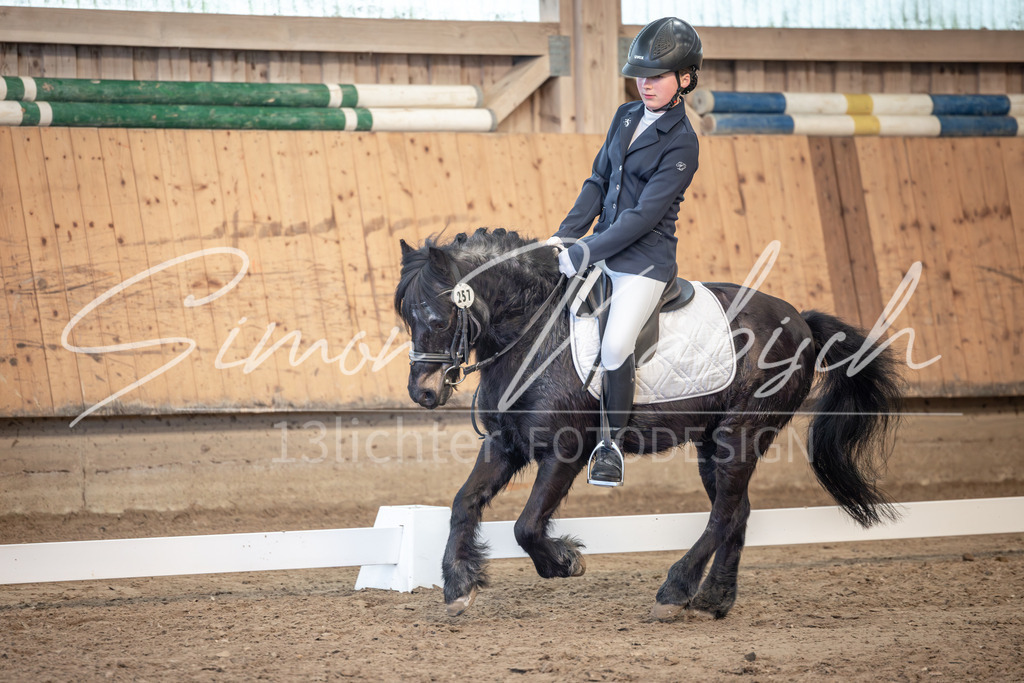 20251011-_3LI8008 | Tierfotografie Pferde, Hunde, Katzen, Haustiere.
Turnierfotografie Reitturniere, Reiten, Springreiten, Dressur in Hanau, dem Main-Kinzig-Kreis und dem Rhein-Main- Gebiet um Frankfurt