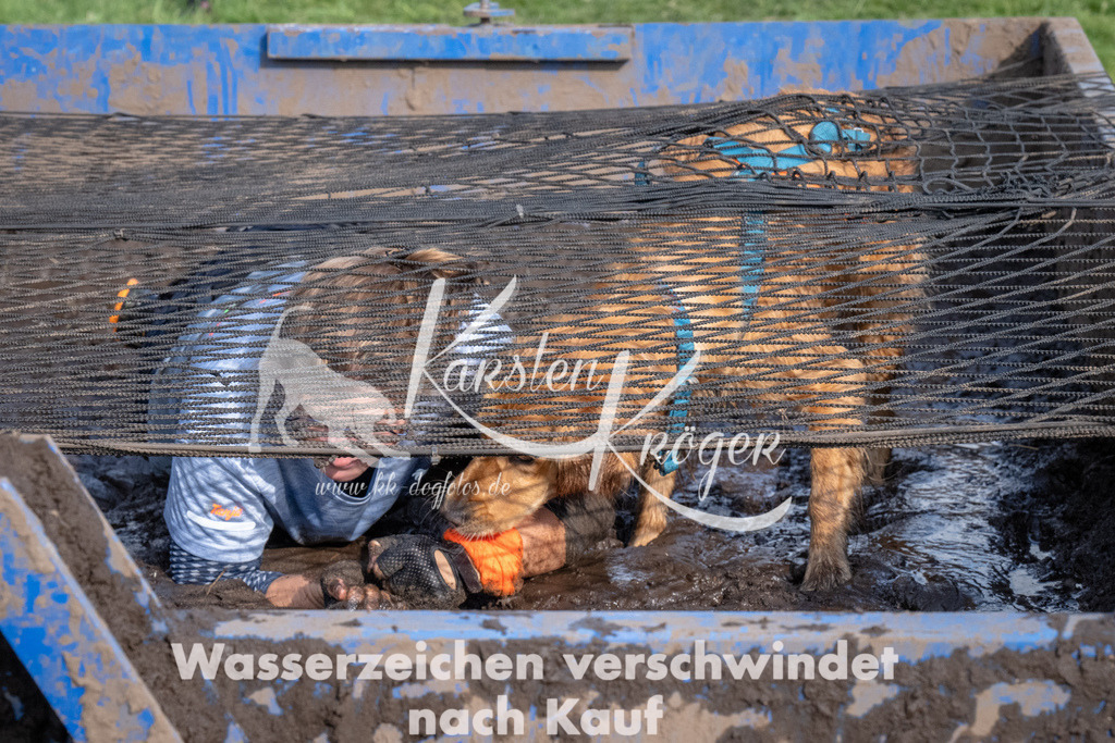 1610_ZZ91815 | kk-dogfotos
