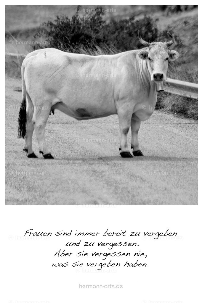 PK_Zitate_10x15_BW-040 | Photo Foto Kunst Art schwarzweiss Bilder Rheine Münster Berlin Blumen 