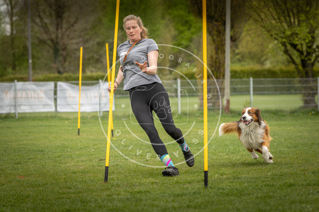 Pfotenfotografie_DV3A9481 | Hundefotografie, Tierfotograf, Pfotenfotografie, Fotoshooting Hund, Hunde Portrait, Hundesport, Hundeportraits, Heideshooting, Hunde, Sportfotograf, Hundefotograf, Turnierhundsport, THS,  - Realisiert mit Pictrs.com