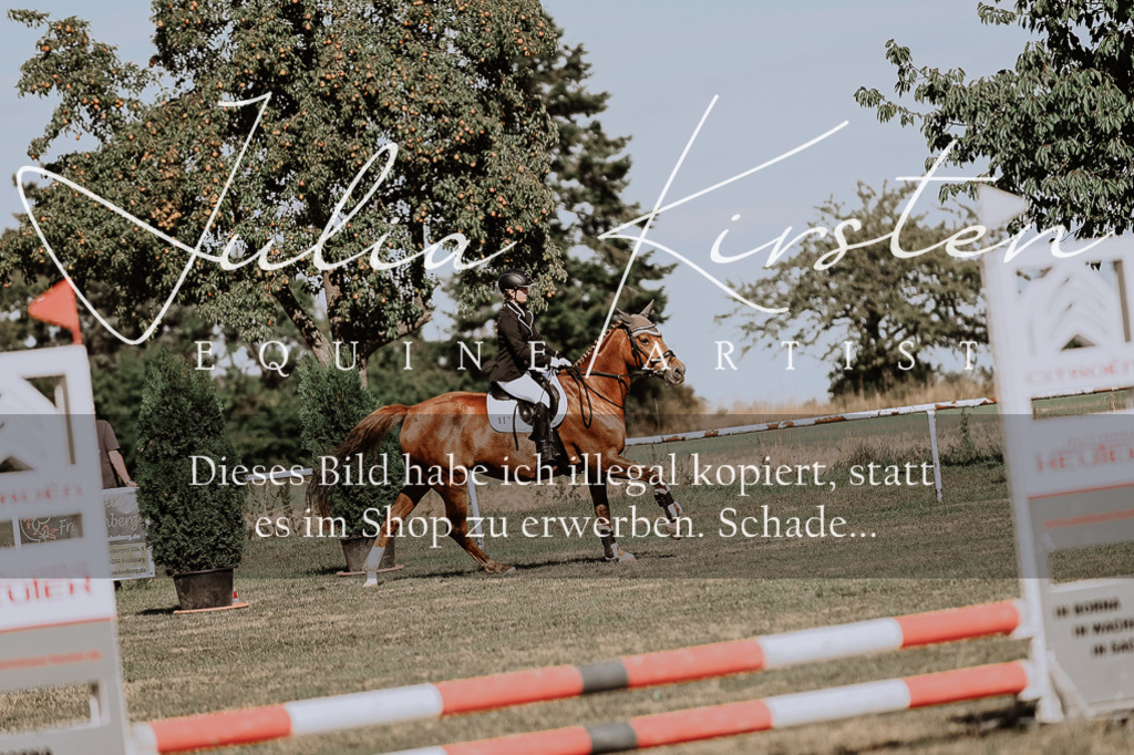 DSC_9345 | Pferde- und Turnierfotografie in Westsachsen. Pferdeportraits, Auftragszeichnungen und intuitive Kunst.